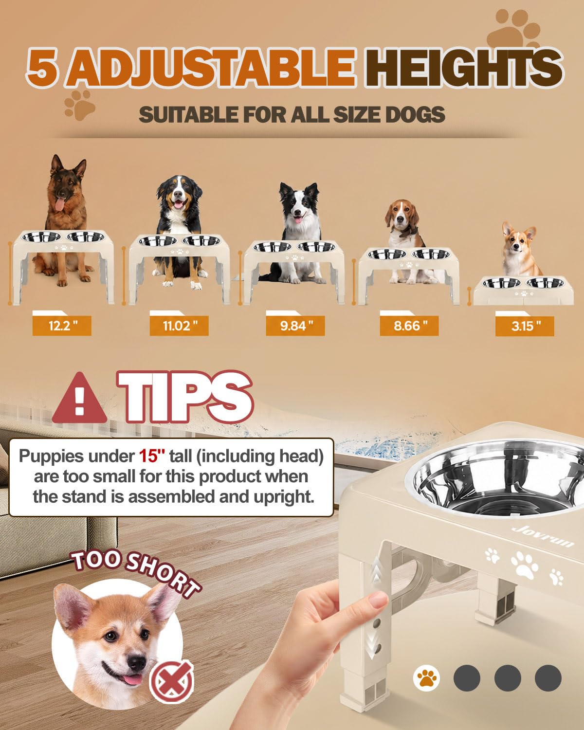 Elevated Dog Bowls for Medium Large Size Dogs (Beige / Medium Large)