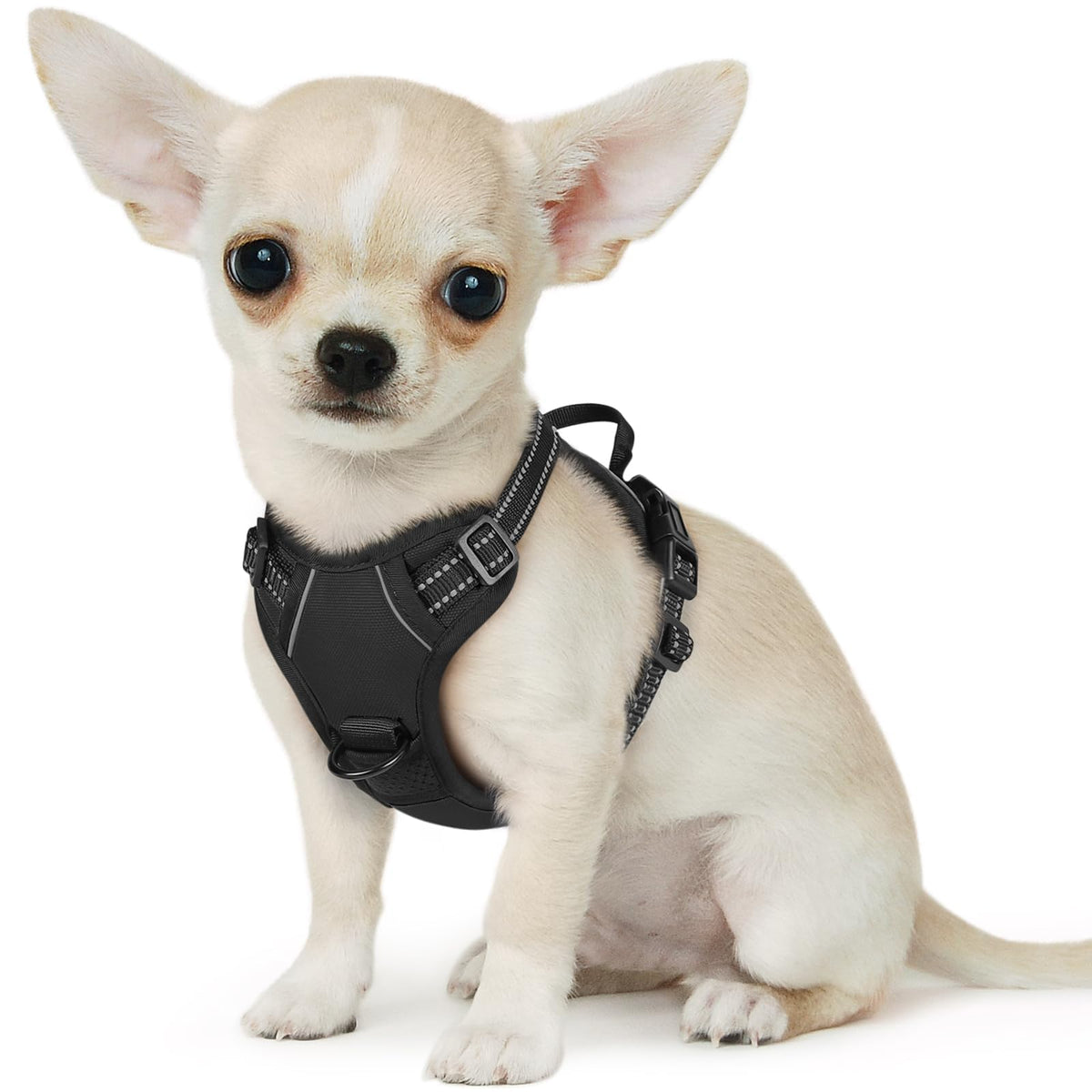 Dog Harness for Small Dogs (X-Small / Black)
