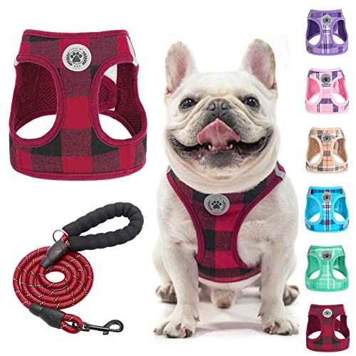 Small Dog Harness and Leash Set (Large(Chest Girth 18" - 21") / Red)