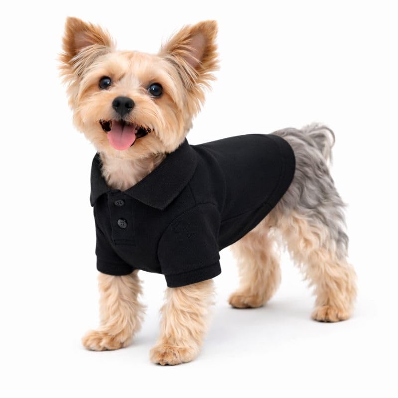 Basic Dog Polo Shirts Premium Cotton (M (-12lbs) / Black)