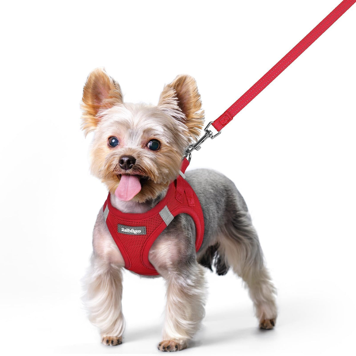 Dog Harness Small Sized and Leash Set (Red / Xs (chest: 13.3 - 15.5"))