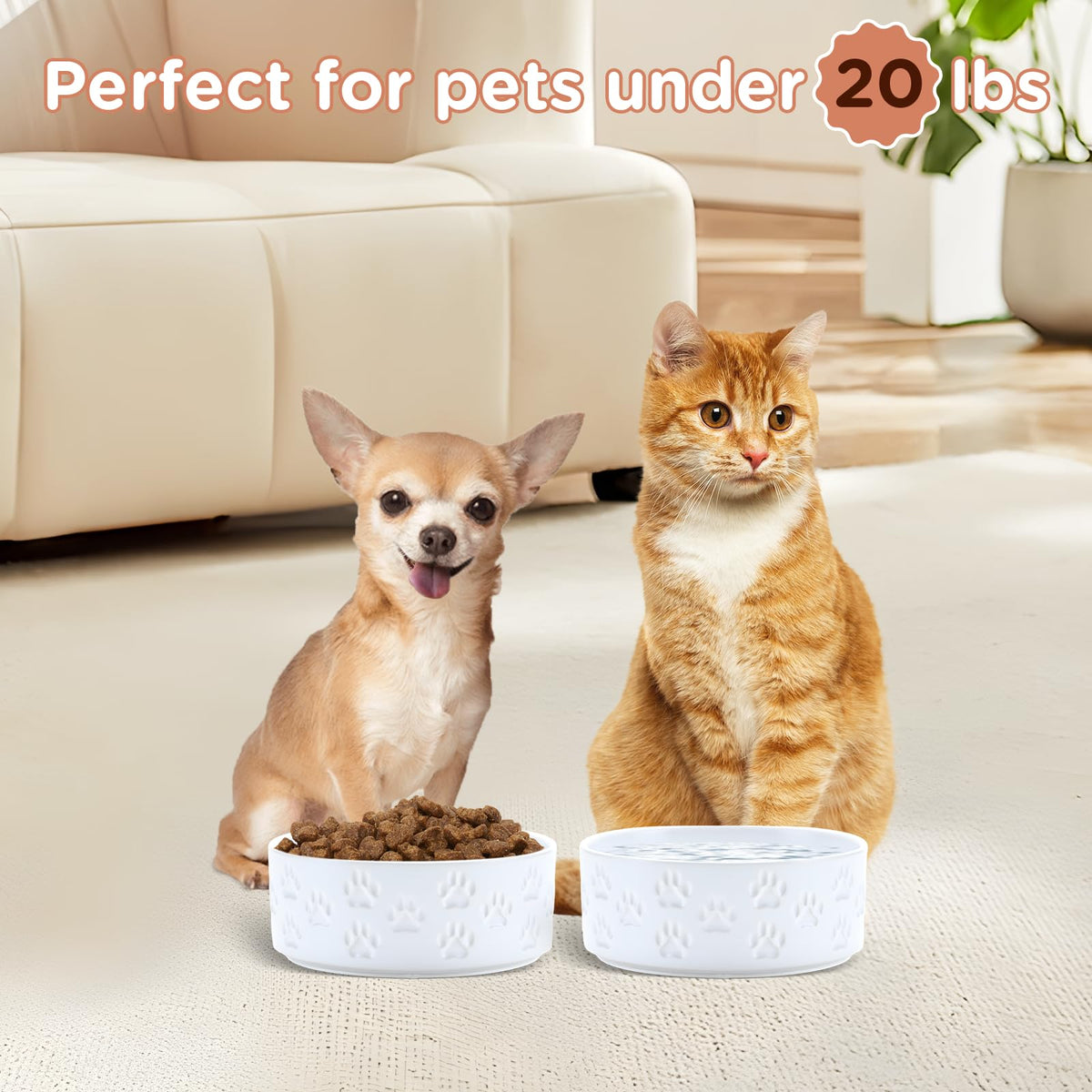 Ceramic Dog and Cat Bowls 2 Pack (5.1 in - 1.7 cups / Paw White - Only Bowls*2)
