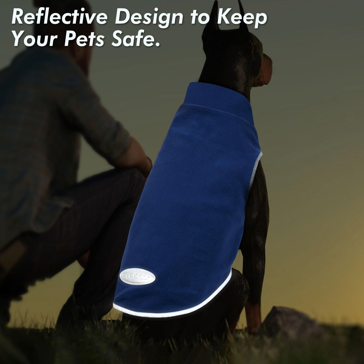 2 Pack Fleece Dog Sweater Pullover Lightweight Reflective Jacket (Large / Blue & Mist Blue)