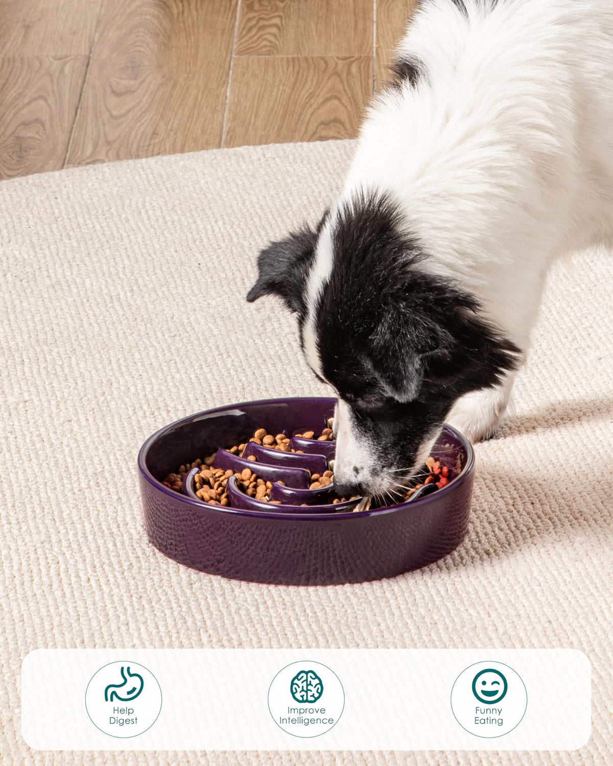Slow Feeder Dog Bowl (Dark Purple / 3 Cups)