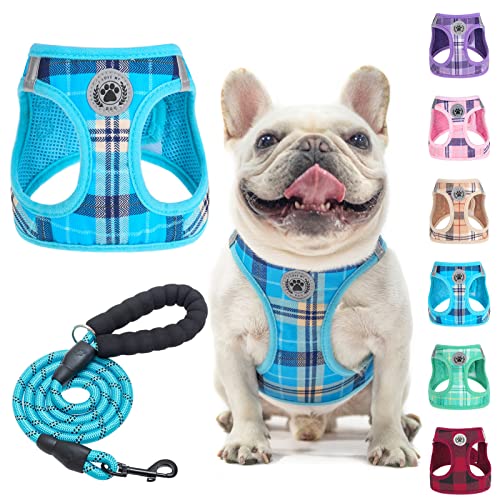 Large Dog Harness and Leash Set (Large(Chest Girth 18" - 21") / Blue)