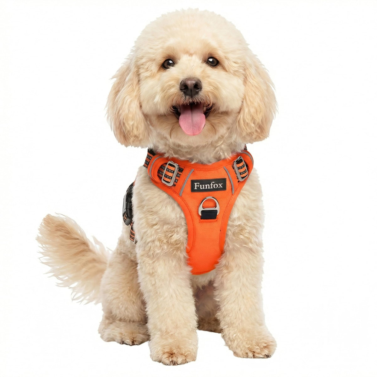 Dog Harness Small Sized Dog (Orange / Small)