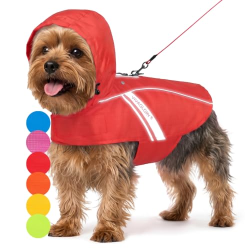 Dog Raincoat Wetoff Dog Rain Coat (Red / XS (15"-18" chest girth))