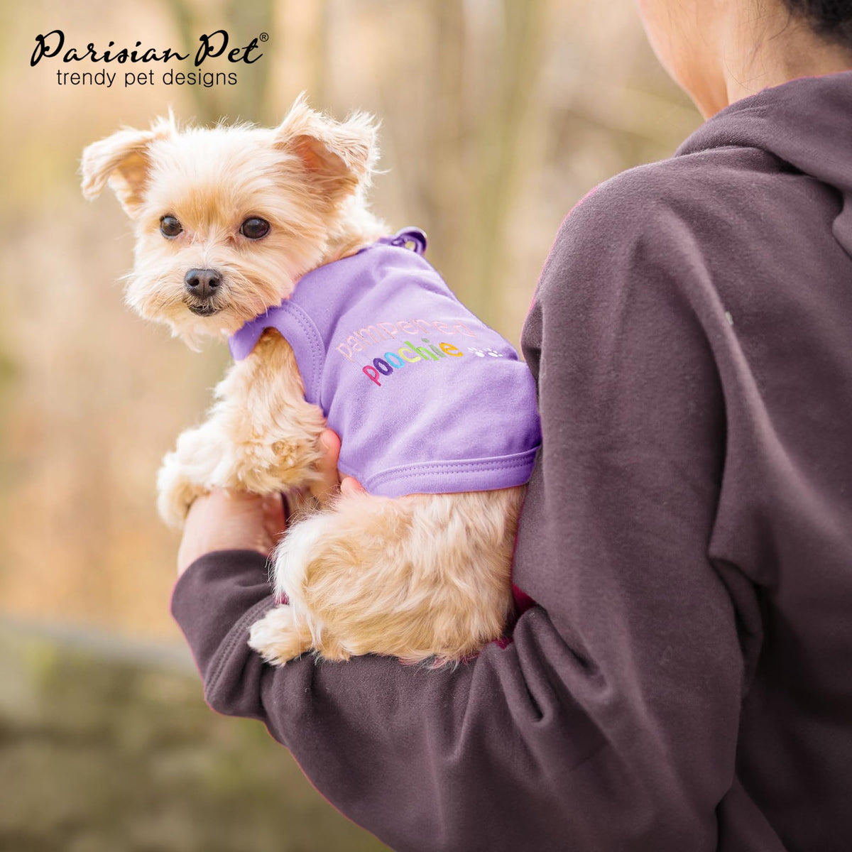 Dog Shirt 100% Cotton Shirts for Small Dogs (Small / Pampered Poochie)