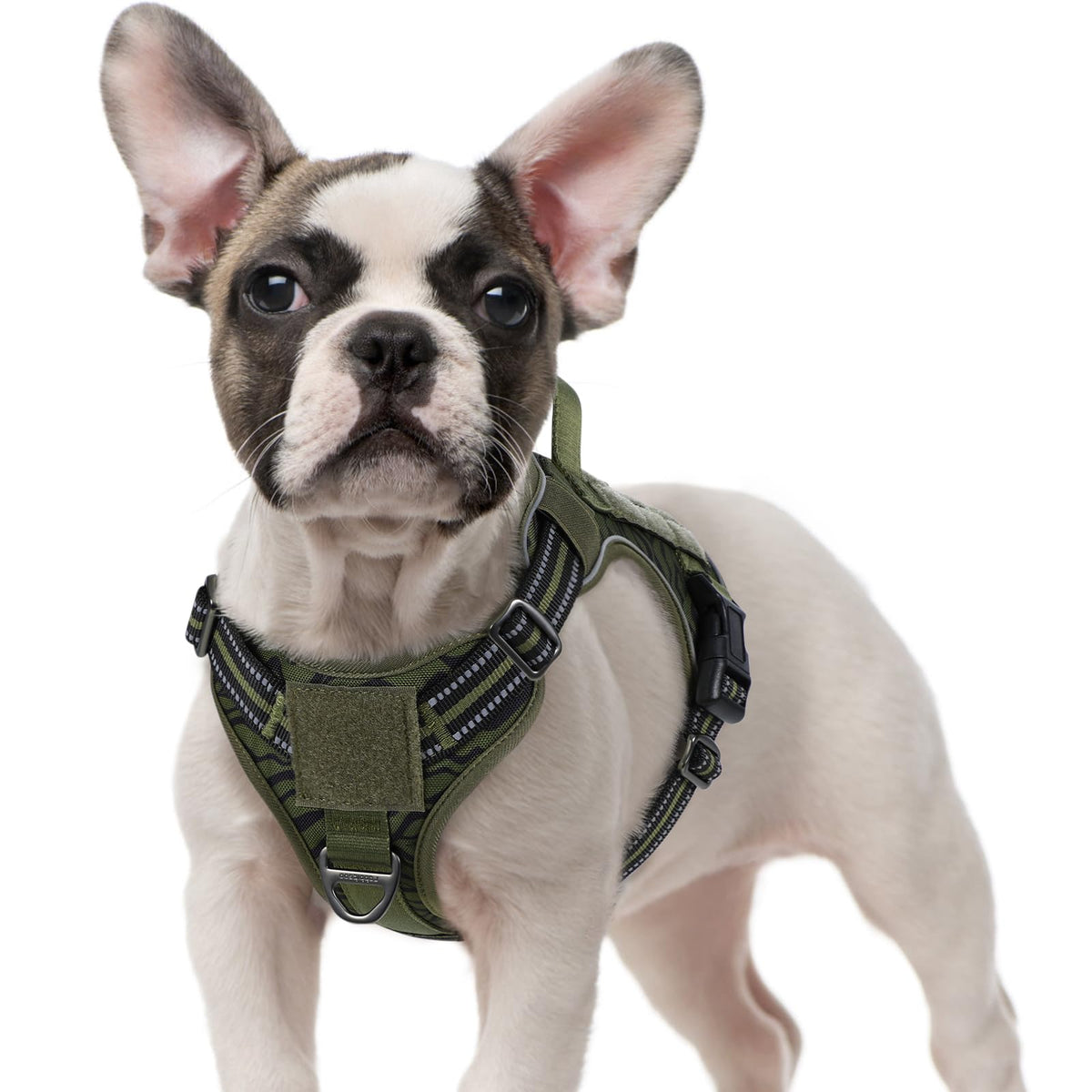 Tactical Dog Harness for Large (Green Desert / Small)