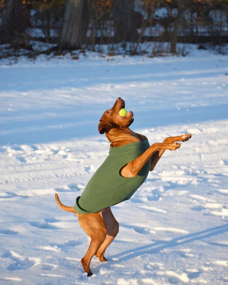 Stretch Fleece Vest Dog Sweater (5X-Large Length (25") / Brown)