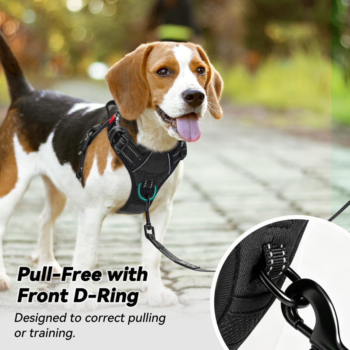 No Pull Dog Harness Medium with Front Clip & Neck Release Buckle (Medium / Black)