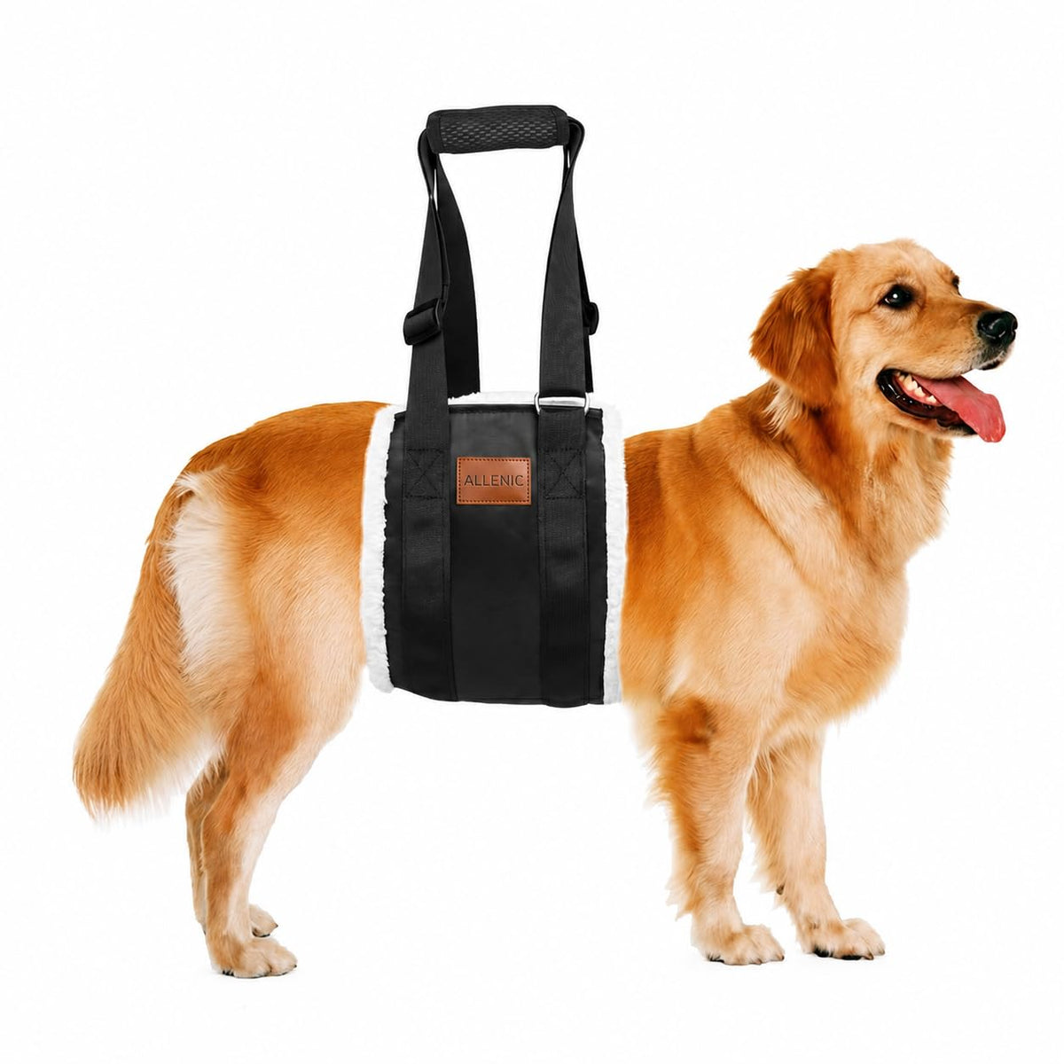 Dog Lifting Sling Dog Lift Harness for Back Legs (Large / Black)
