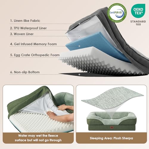 Orthopedic Dog Bed for Large Dog (Green / 36x27x7)