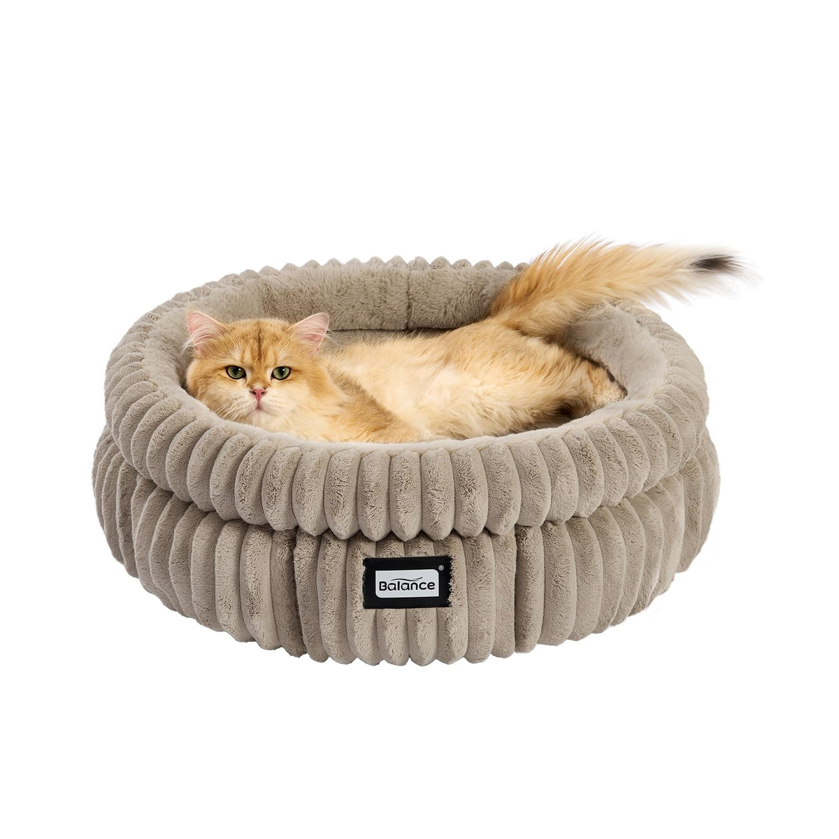Cat Bed Kitten Bed (24.0"L x 24.0"W x 9"Th / Wind Chime)