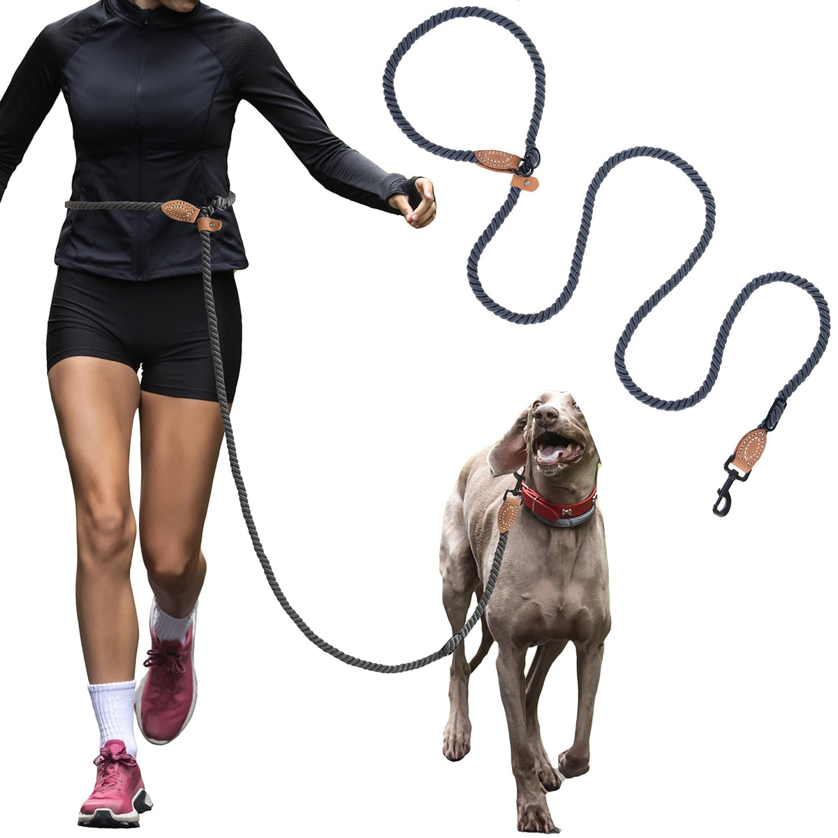 Hands Free Dog Leash (Blue Green / 7FT Hands Free)