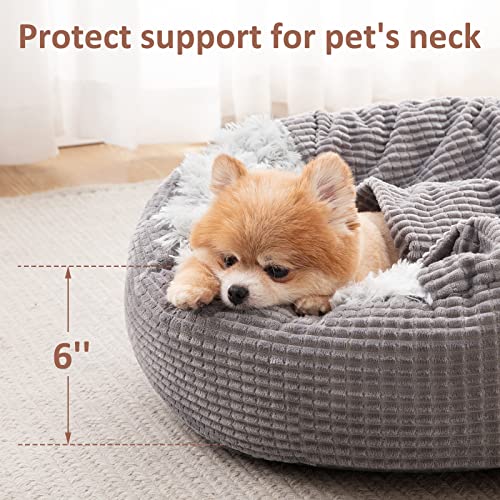 Small Dog Bed Cat Bed with Blanket Attached Donut Washable (23.0"L x 23.0"W x 6.0"Th)