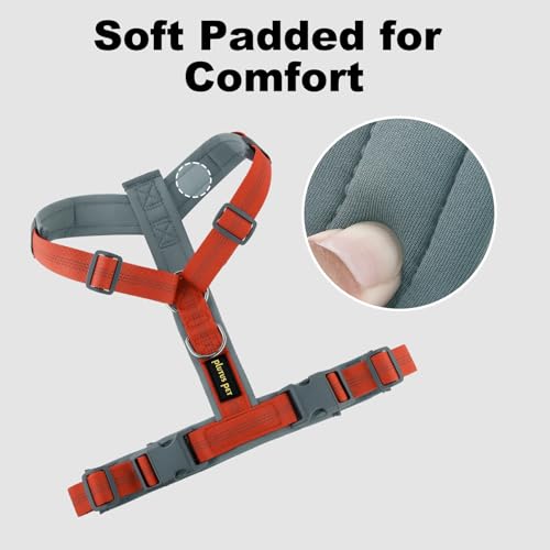 No Pull Dog Harness (M / Orange)