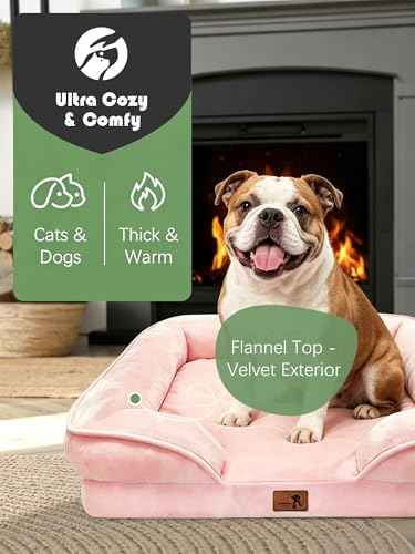 Orthopedic Dog Bed with Sides (35.0"L x 25.0"W x 6.5"Th / Pink)