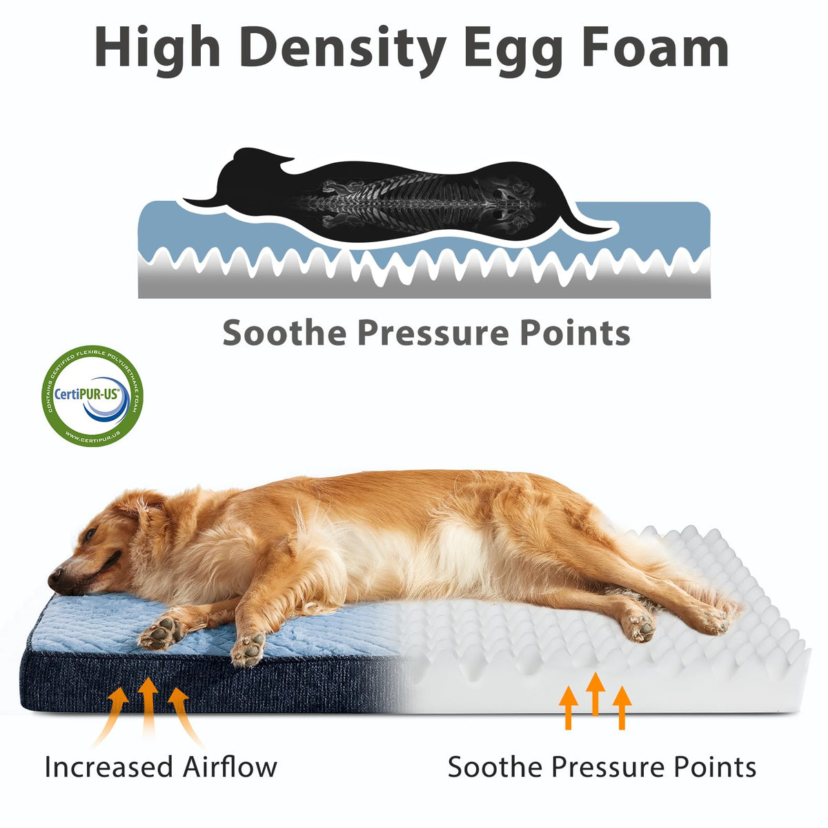 Orthopedic Medium Dog Bed (M(29"x18") / Blue)