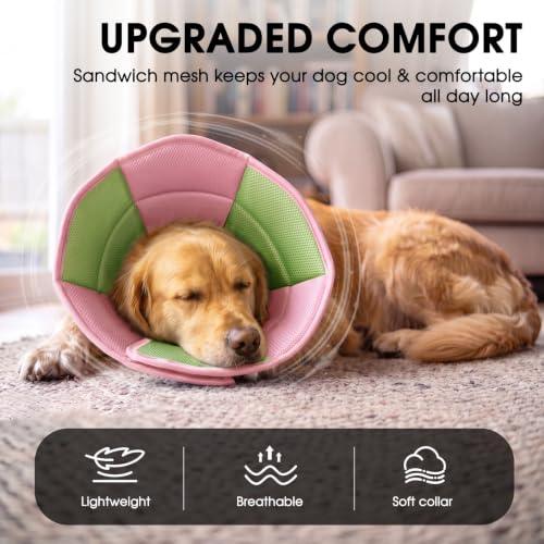 Dog Cones for Medium Dogs Soft Cone for Dogs to Stop Licking (Pink Green / Medium)