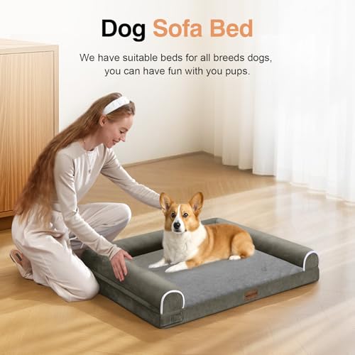 Orthopedic Dog Bed for Medium Dogs (Dark Green / 28.0"L x 19.0"W x 5.5"Th)