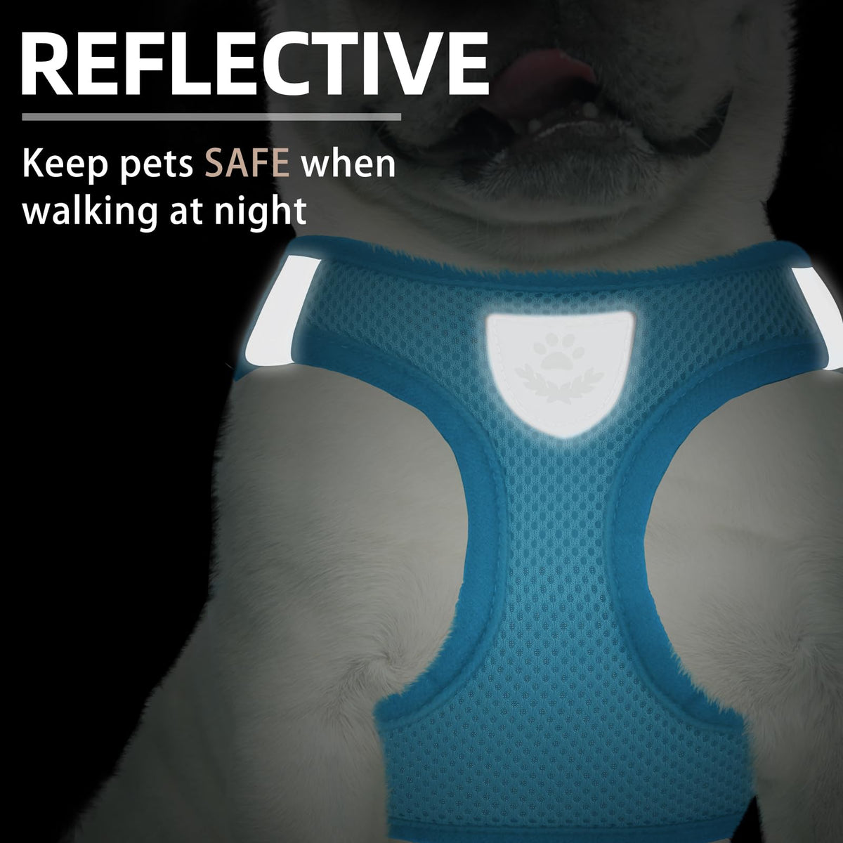 Dog Harness Collar and Leash Set No Pull for Small Medium Sized (Solid LightBlue / S (CHEST 14.5"-16"))