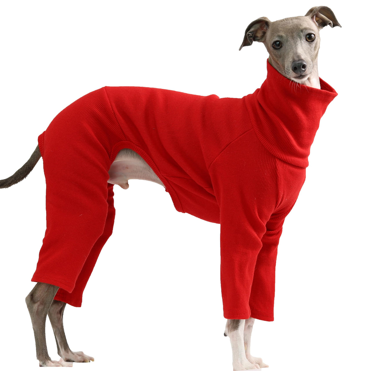D Doggy Star Italian Greyhound Clothes Stretchable Onesie Whippet for Dog (L / Ribbed Red)