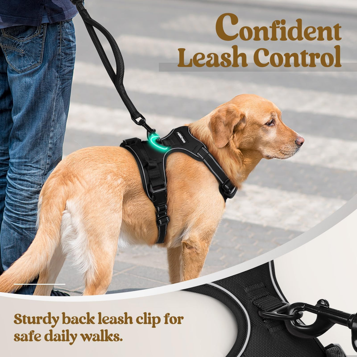 Dog Harness No Pull for Small Dogs with 2 Leash Clips (Small / Black)