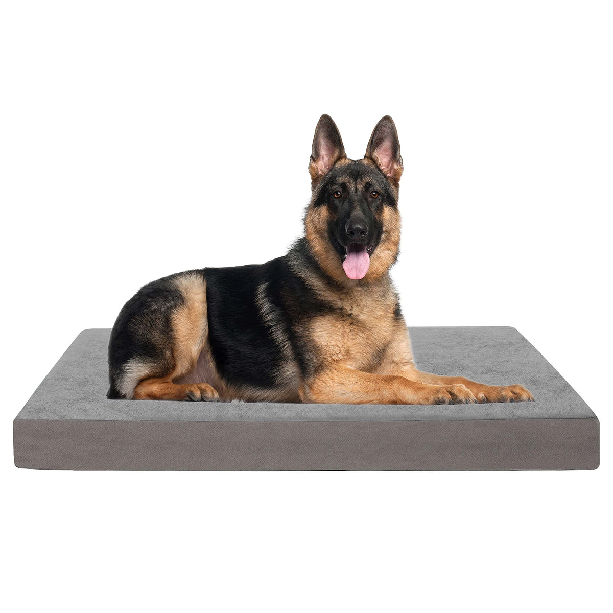 Jumbo Dog Bed for Large Dogs (Short Plush / XXX-Large-50"x 34" x 4")