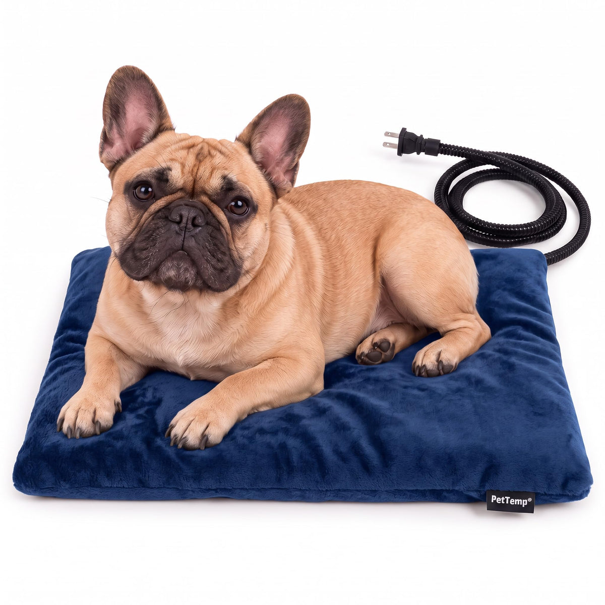 Dog Heating Pad (Blue / Medium: 20" x 16" x 1.6")