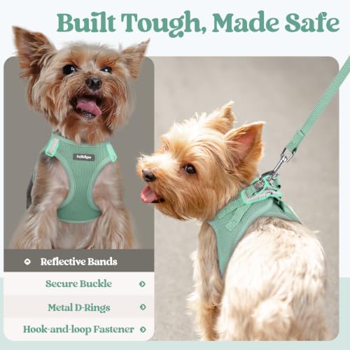 Dog Harness Small Sized and Leash Set (Moss Green / Xs (chest: 13.3 - 15.5"))