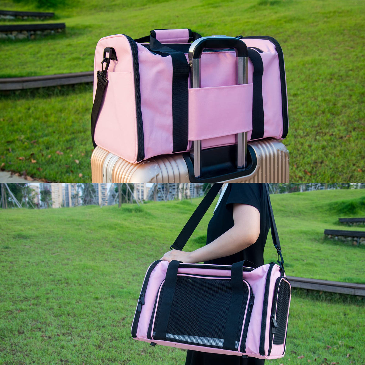 Soft Sided Carrier for Small Medium Cats Dogs (19.3"L x 11.3"W x 11.3"H / Pink)