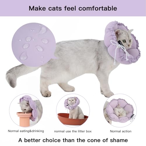 Soft Cat Cone Collar (M-Standard / purple)