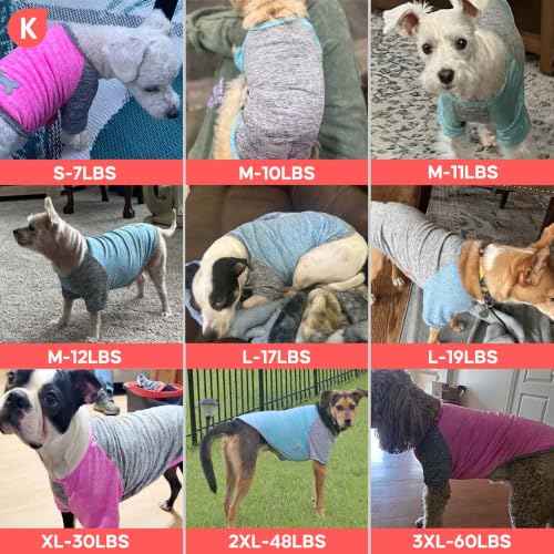 2Pack Dog Shirt for Large Dogs Sun Protection Tank Top with Sleeves (XX-Large (40-55lbs) / 5# 2Pack(Coral Red+Grey))