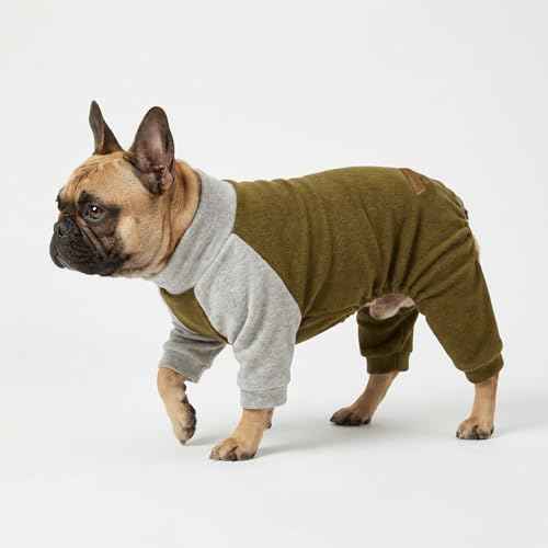 Turtleneck Raglan Dog Pajamas (XX-Large / Dark Green)