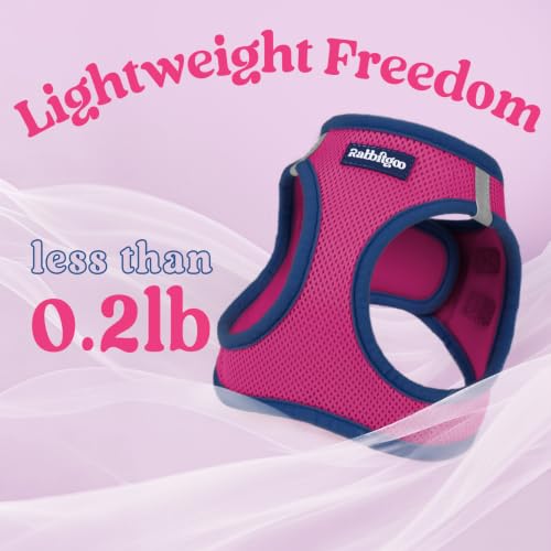 Dog Harness Small Sized and Leash Set (Rose Red & Navy Blue / L (Chest: 18.2"-20.5"))