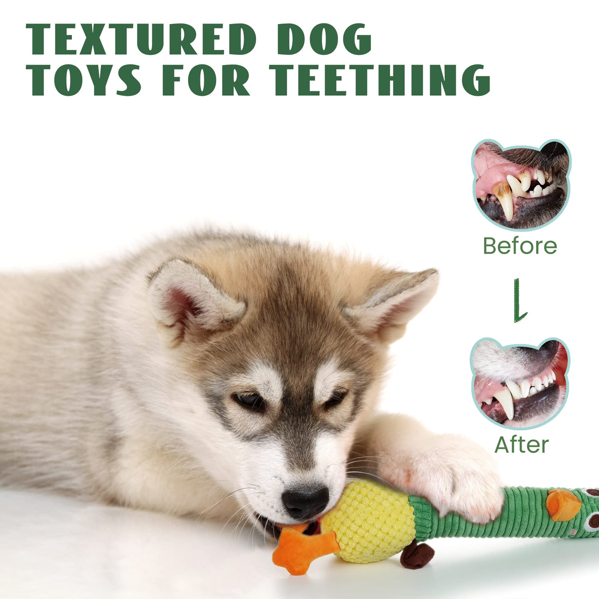 2 in 1 Easter Duck Dog Toy with a Large Rubber Squeaker (Duck)