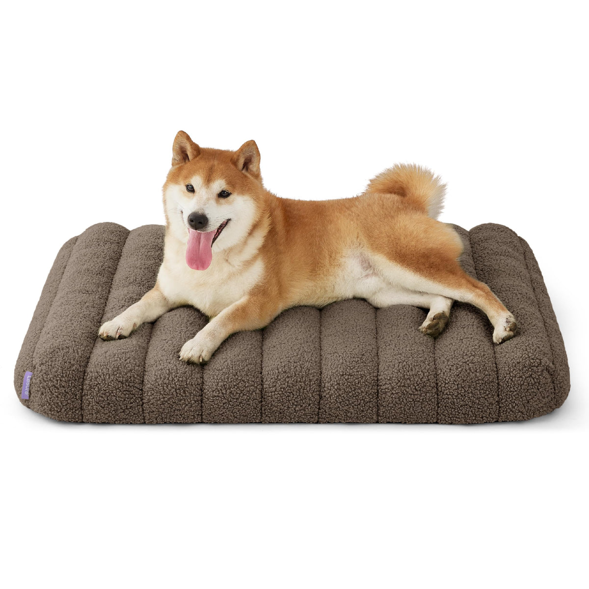 Cute Orthopedic Dog Bed Medium Size Dog (30"L x 20"W x 4"Th / Brown)