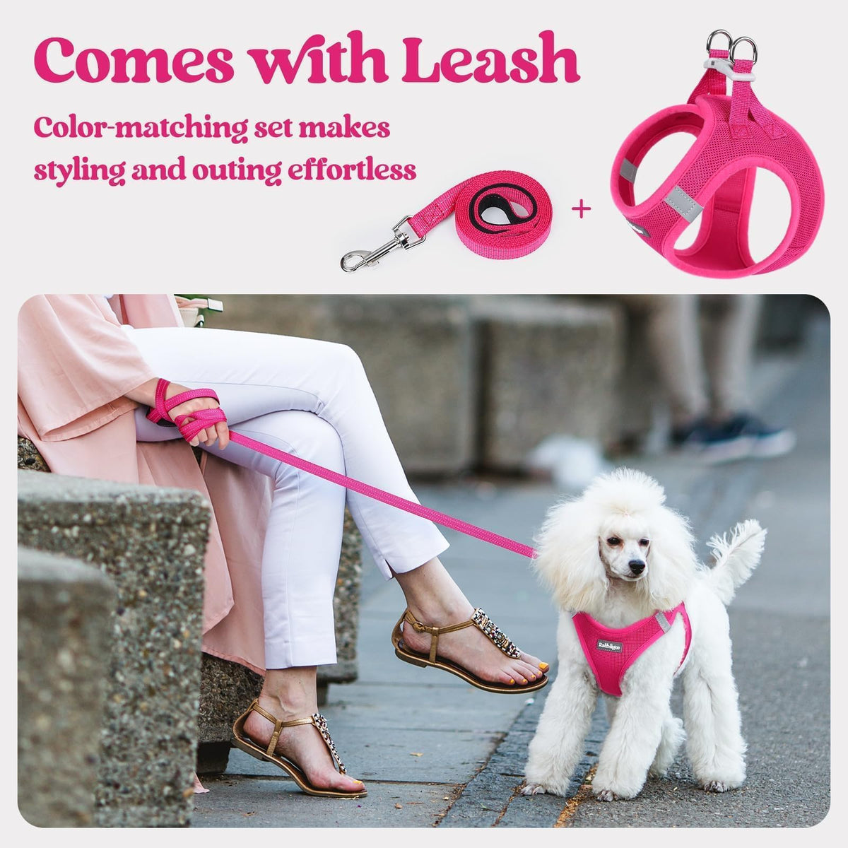 Dog Harness Small Sized and Leash Set (Rose Red / Xs (chest: 13.3 - 15.5"))