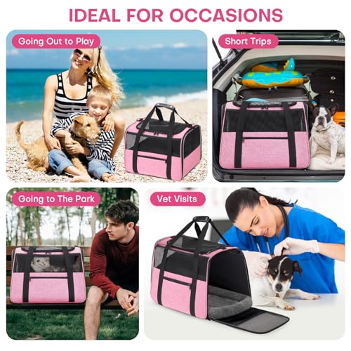 JUNGYOUN Premium Cat Carrier (Pink / 17.5"L x 12.4"W x 13.5"H)
