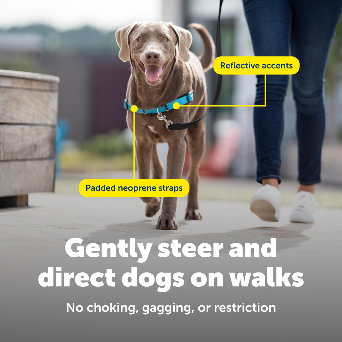 Easy Walk Deluxe Dog Harness (Medium / Ocean)