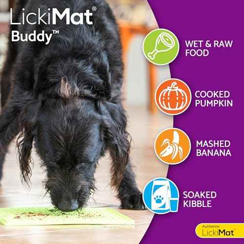 Classic Buddy Dog Slow Feeder Lick Mat (Mint)