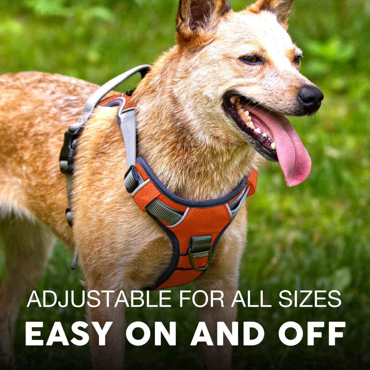 Embark No Pull Dog Harness (L / Orange)