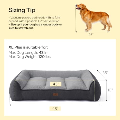 SupportMax® Extra Thick Orthopedic XL Dog Bed for Extra Large Dogs (Dark Green / 48"l X 35"w X 10"th)