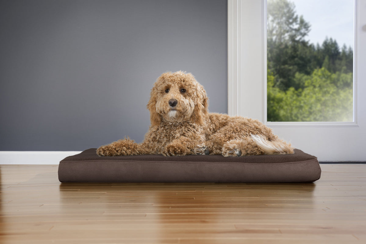 Orthopedic Dog Bed for Large (Large / Espresso)