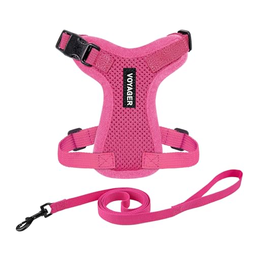 Voyager Step in Lock Cat Harness & Leash Set (Fuchsia / XS (Chest: 13 - 16"))