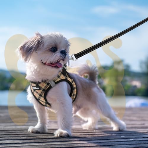 Dog Harness Small Sized and Leash Set (Beige Plaid / XS (Chest: 13.3"-15.5"))