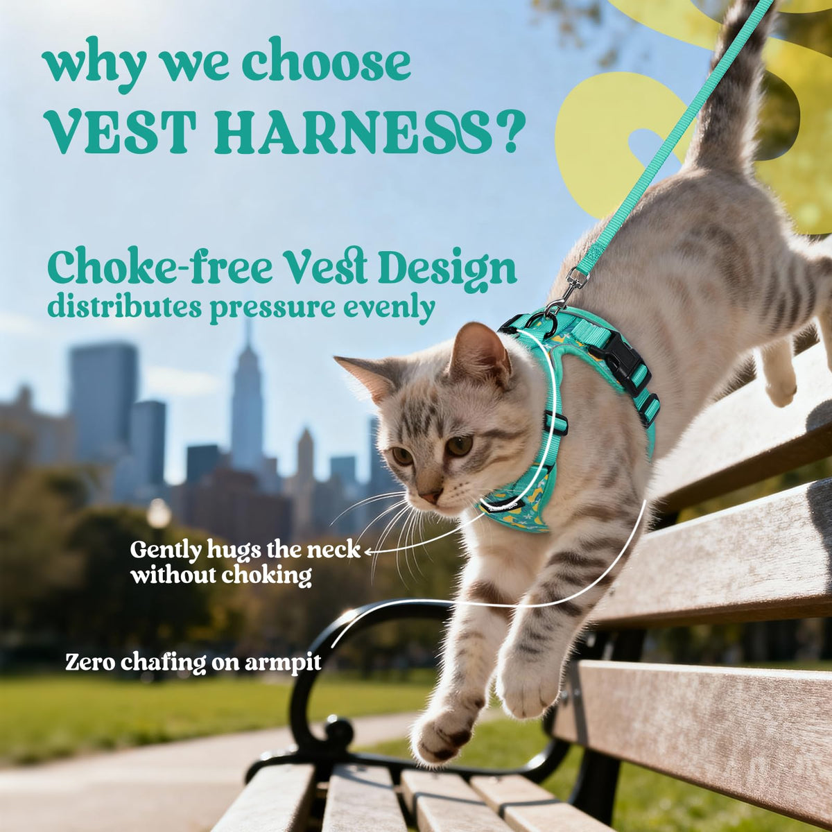 Cat Harness and Leash Set (S / Lemon Grove)