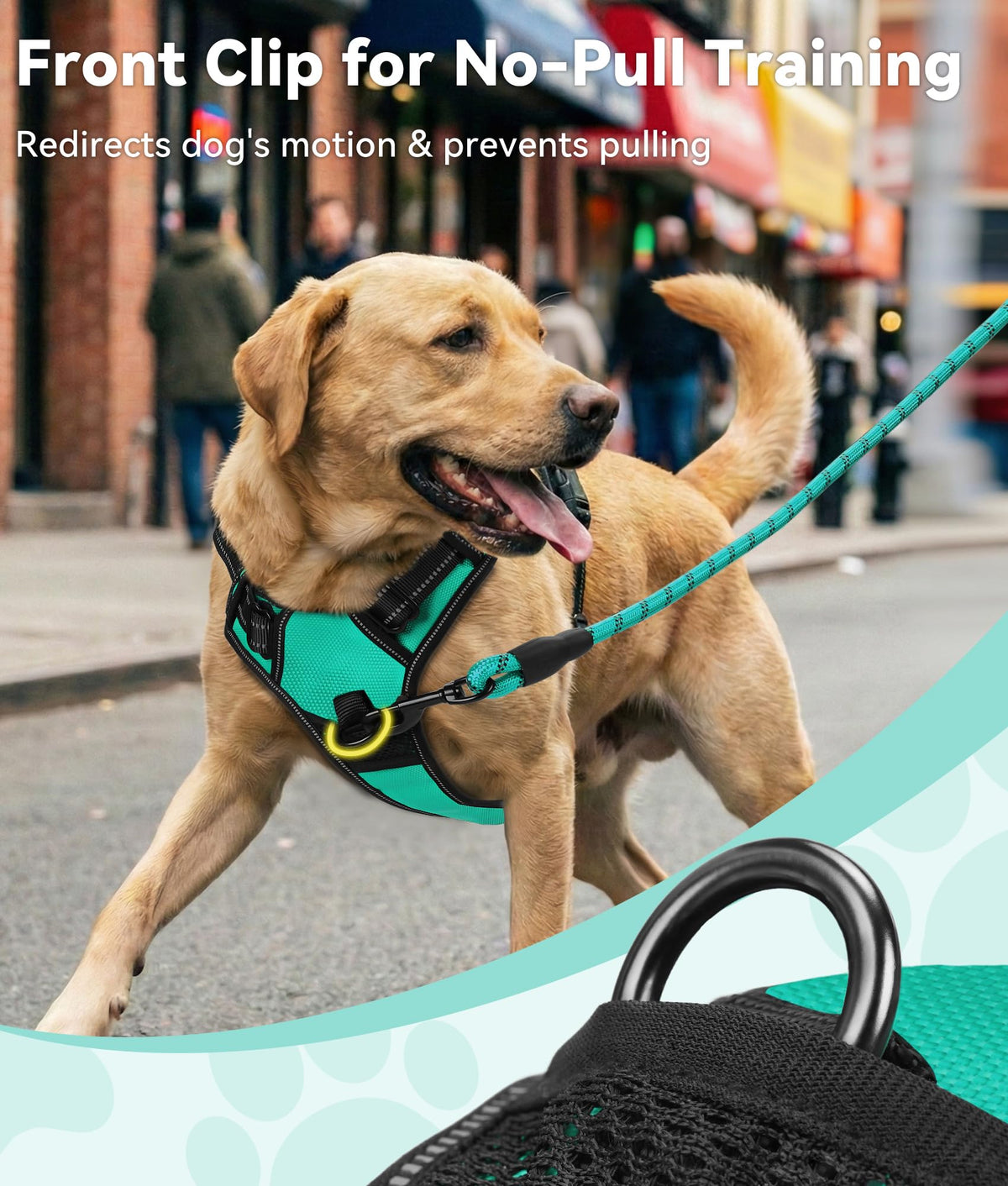 No Pull Dog Harness for Large Dogs (Large / Teal)