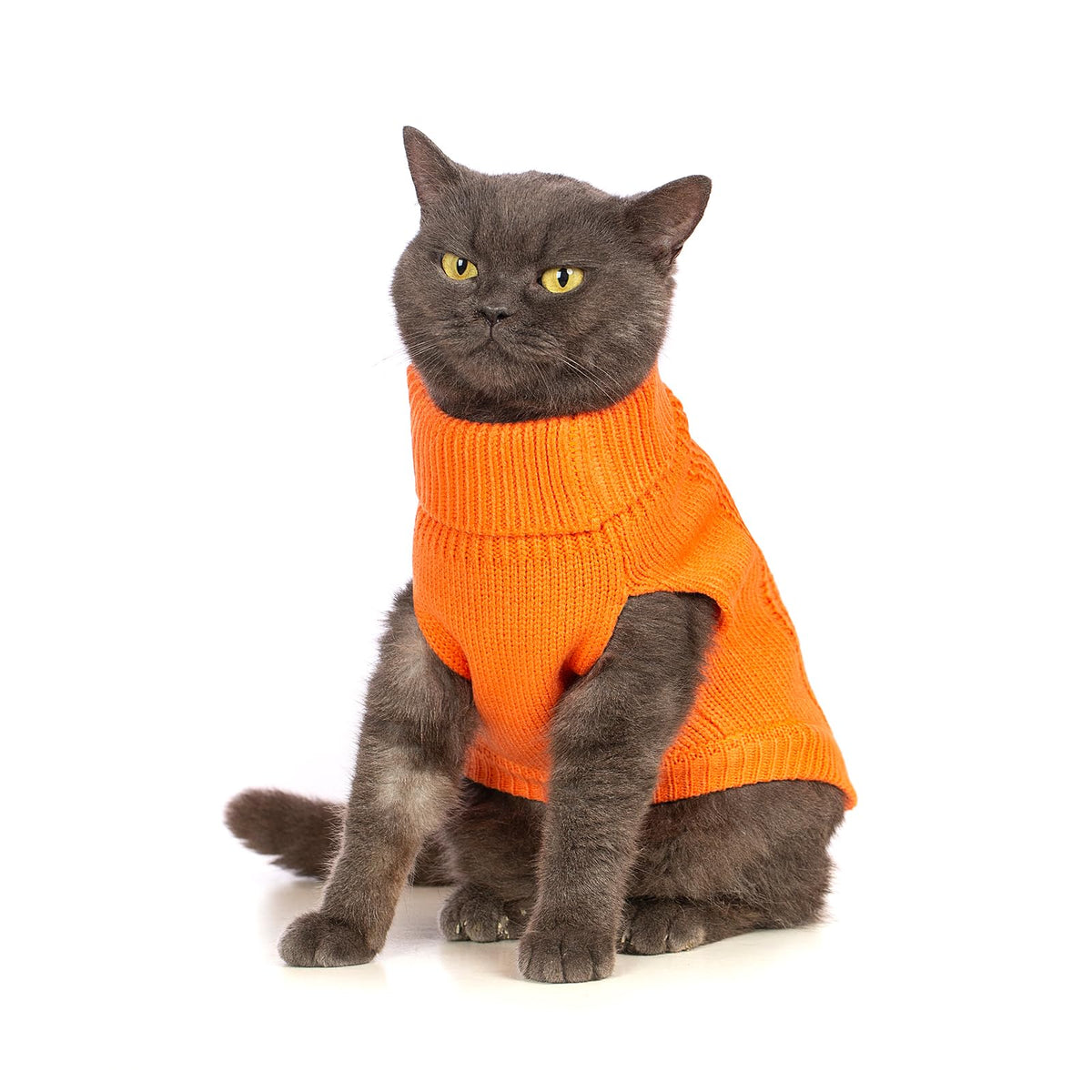 Cat Sweater Stretchy (Orange / Large)